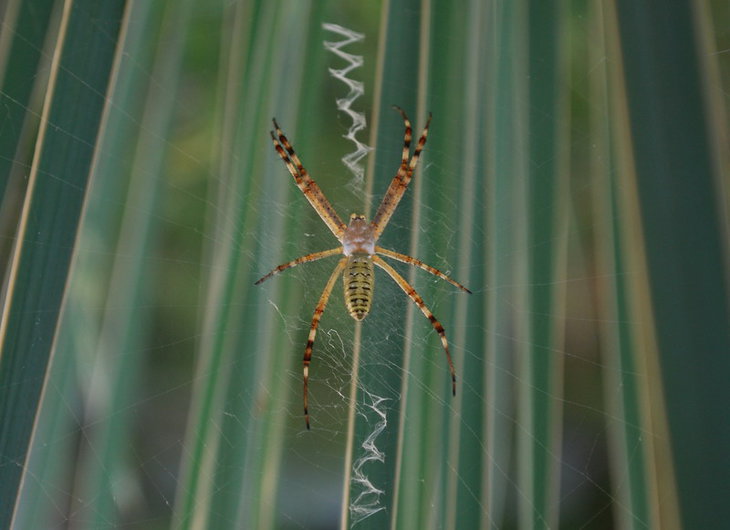 DSC_3596..jpg