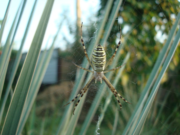 DSC06336.JPG
