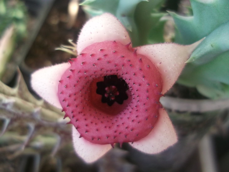 DSCF3765.JPG