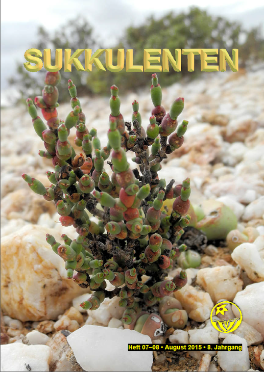 Sukkulenten_2015-0708.png