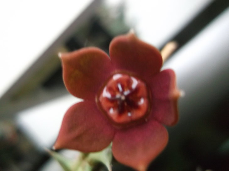 DSCF4082.JPG