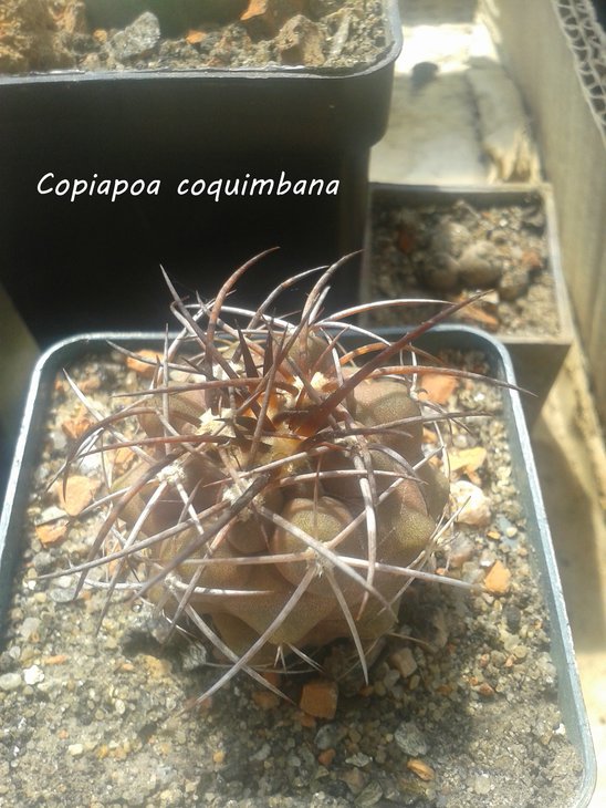 20150819_113730.jpg