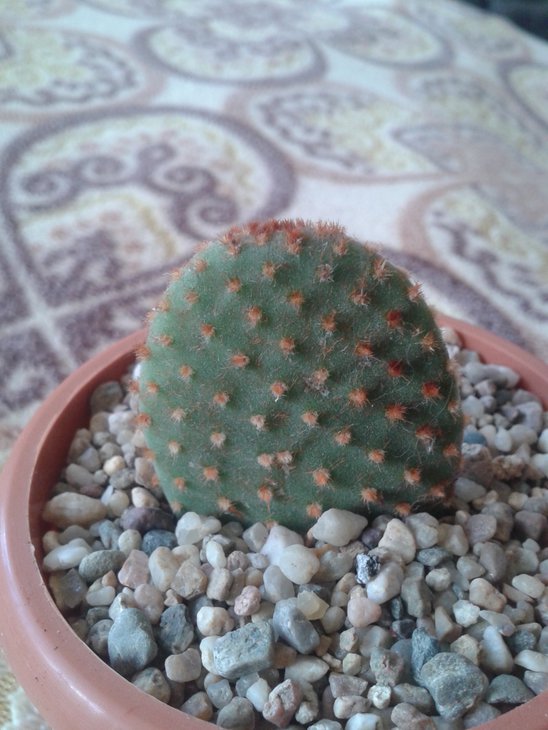 20150822_164137.jpg