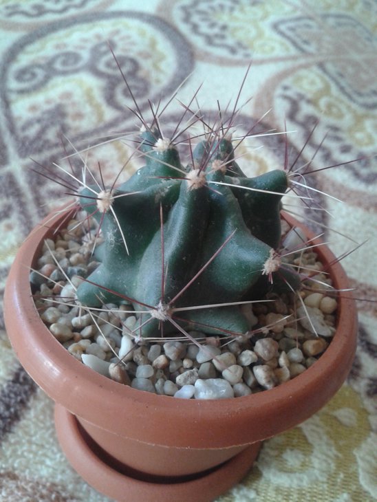 20150822_164328.jpg
