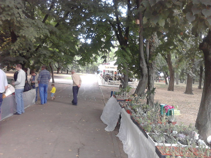 P21-08-15_10-00.jpg