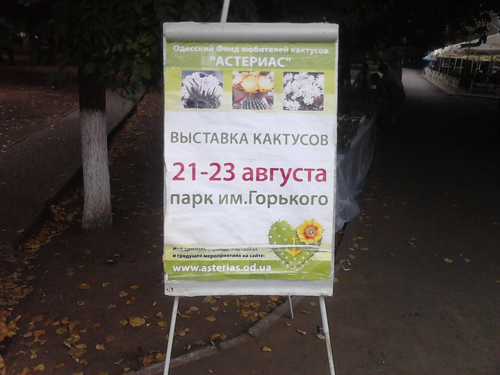 P21-08-15_09-38.jpg