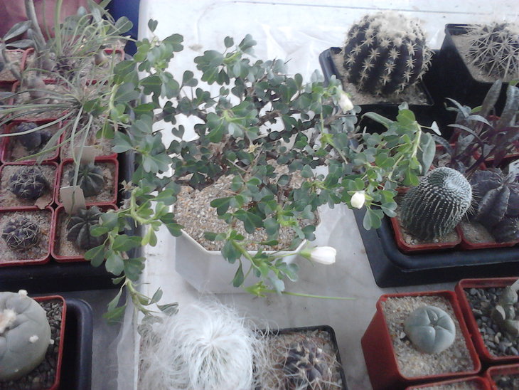 P23-08-15_09-52.jpg