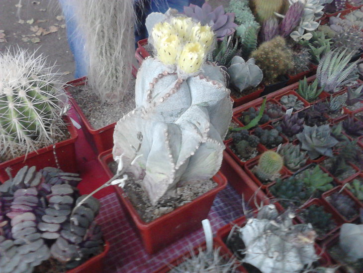 P23-08-15_09-55.jpg