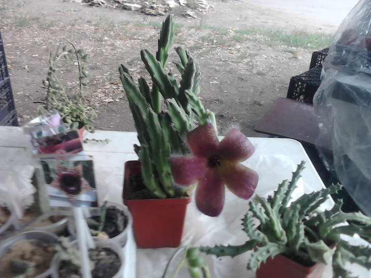 P23-08-15_09-56.jpg