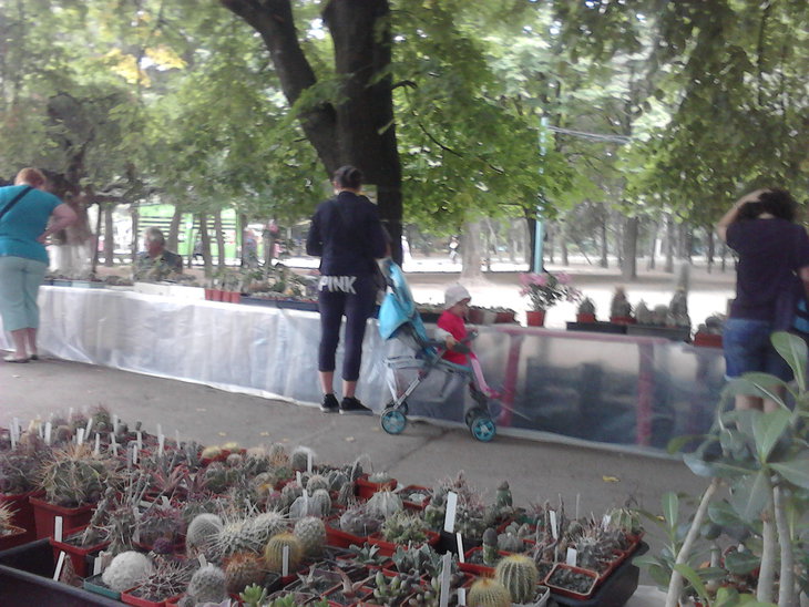 P23-08-15_10-39.jpg