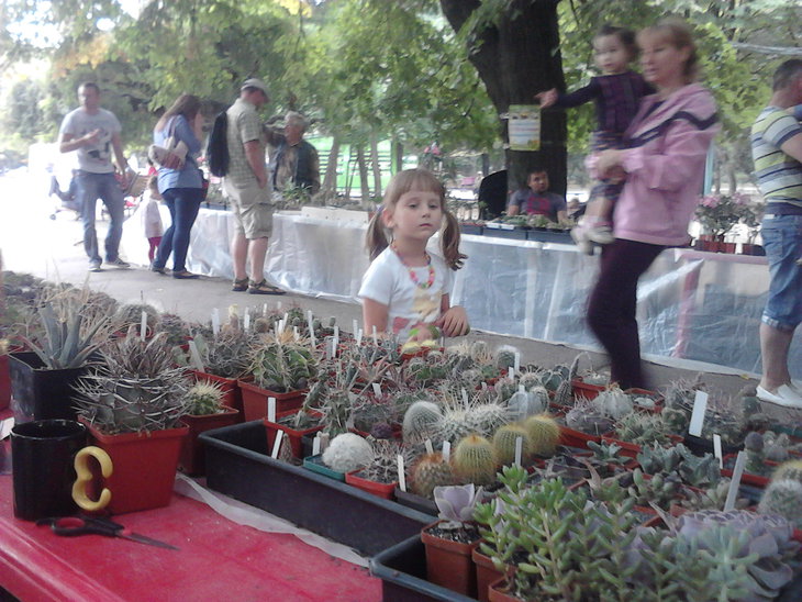 P23-08-15_11-40.jpg