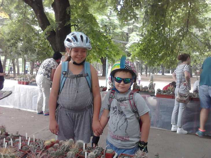 P23-08-15_13-13.jpg