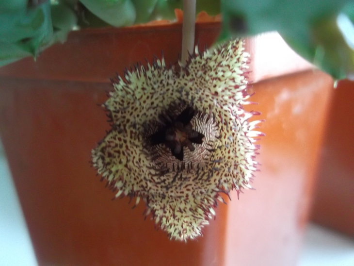 DSCF2928.JPG