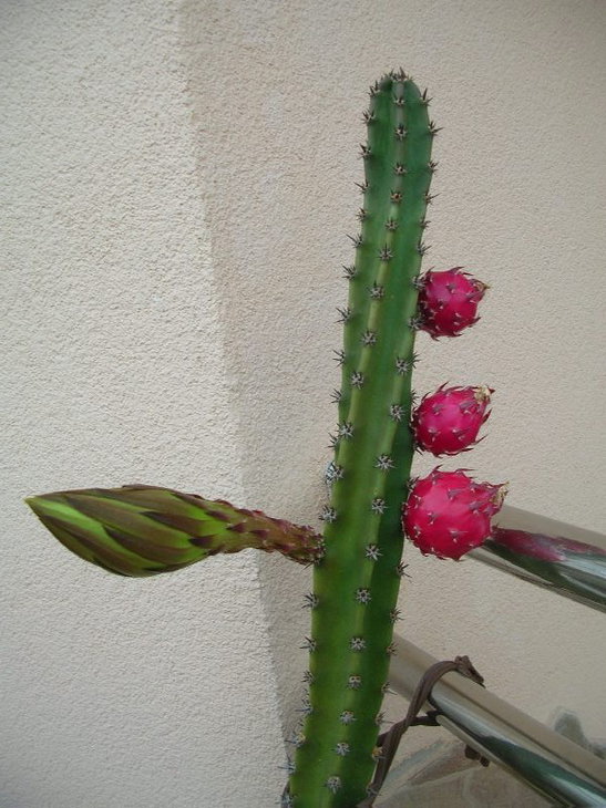 DSCN0170.JPG