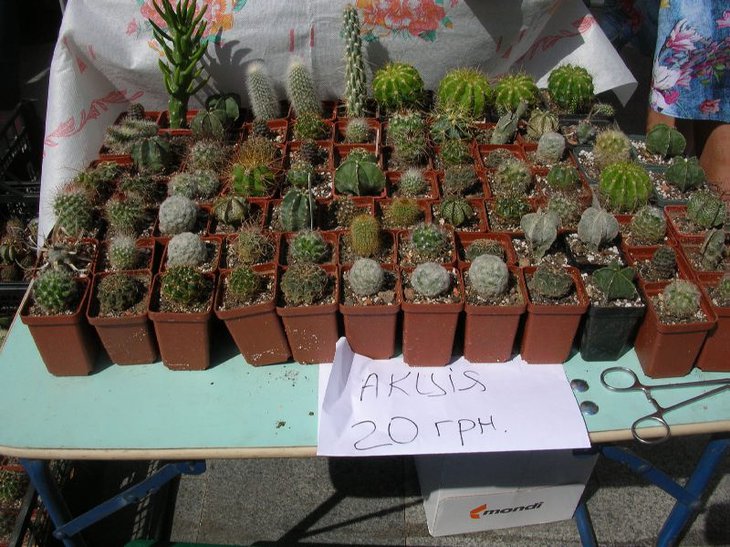 DSCN0175.JPG
