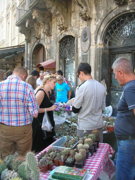 DSCN0210.JPG