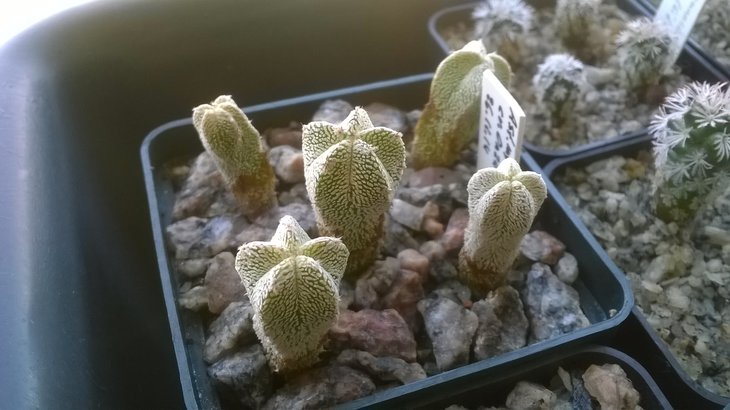 WP_20150831_010.jpg