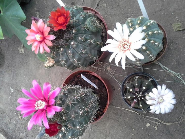20150909_160351.jpg
