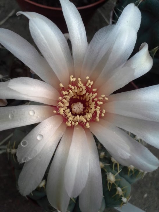 20150909_160417.jpg