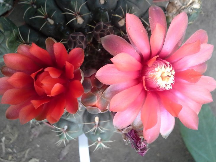 20150909_160426.jpg