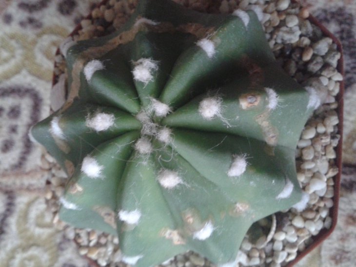 20150913_165435.jpg