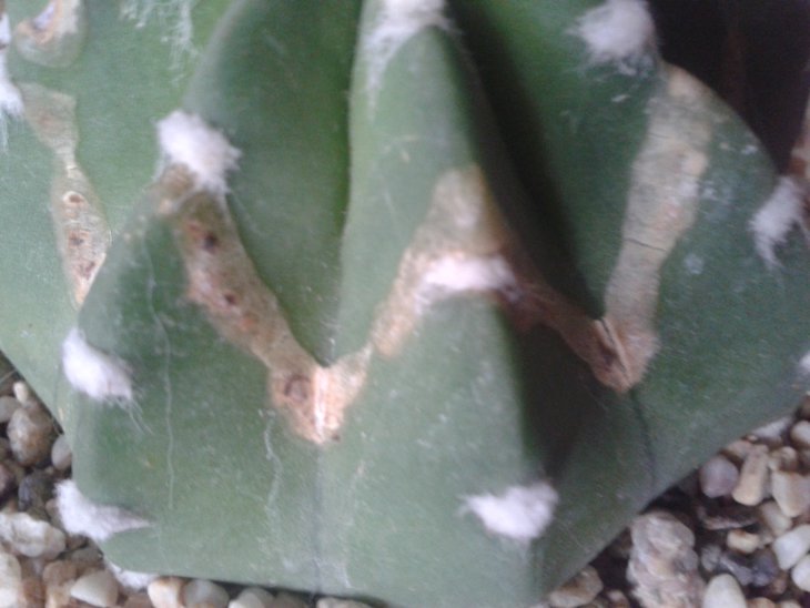 20150913_165510.jpg