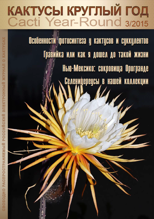 Кактусы_круглый_год_3-2015.png
