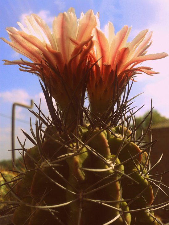20150924_142242.jpg