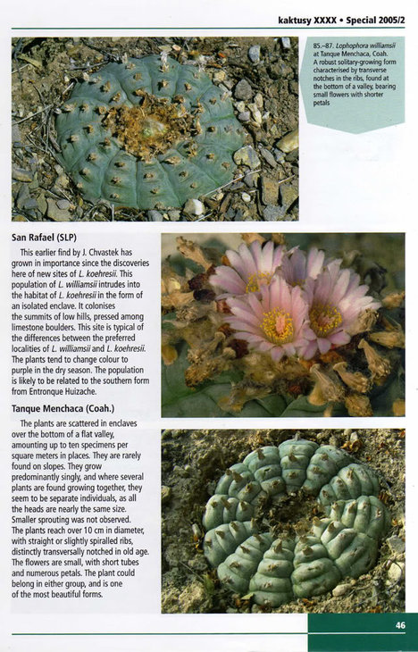 Page46.jpg