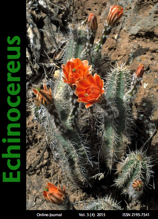 Echinocereus_4-2015.png