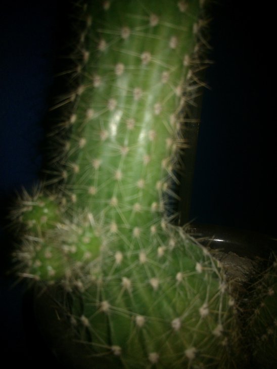 WP_000560.jpg
