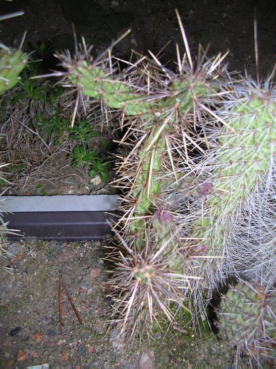 DSCN4866.JPG