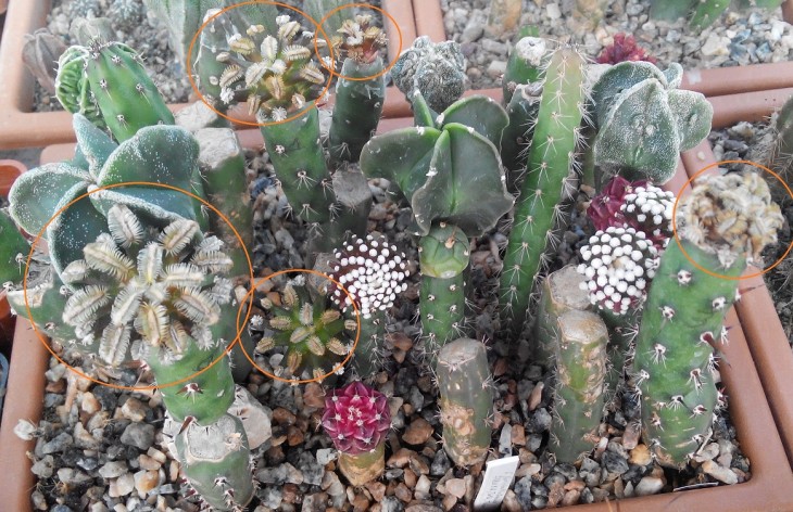 20150920135800.jpg
