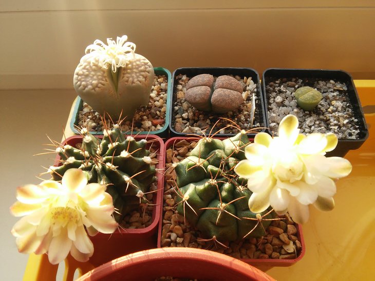 20151017_162104.jpg