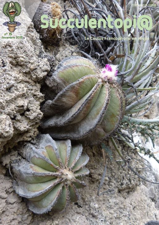 Succulentopi@_15.png