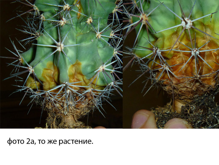 Без имени-5.jpg