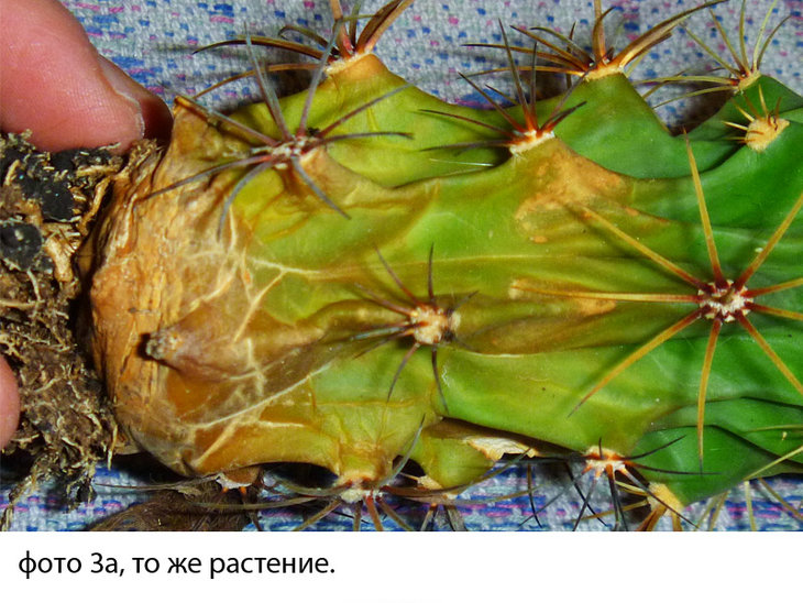 Без имени-7jpg.jpg