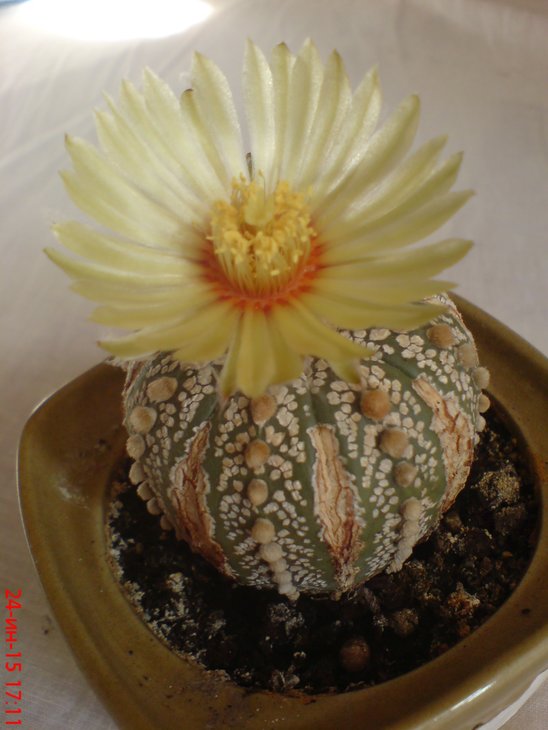 ASC00023.JPG