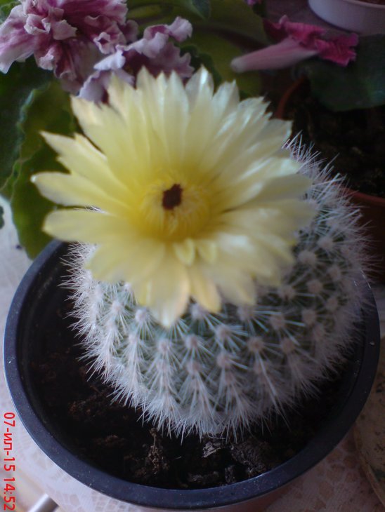 DSC00026.JPG
