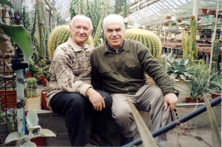 cacti 19.jpeg