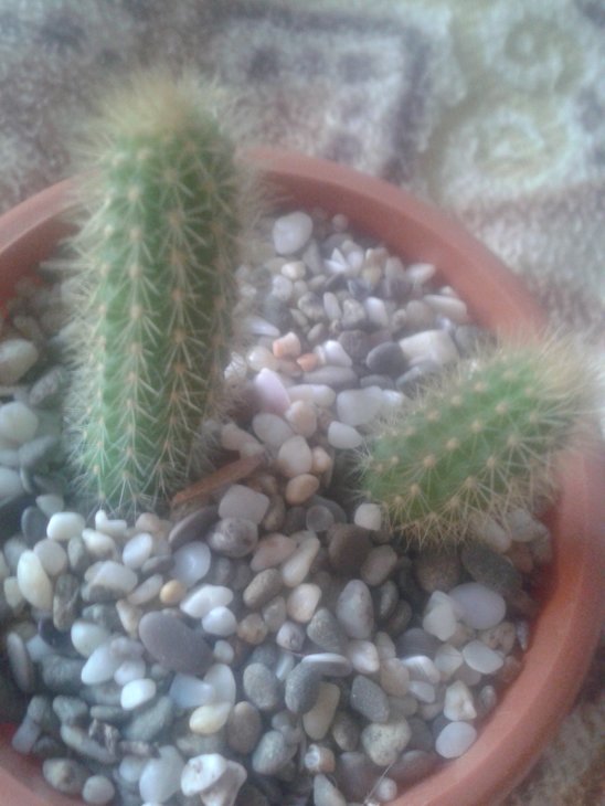 20150904_173147.jpg