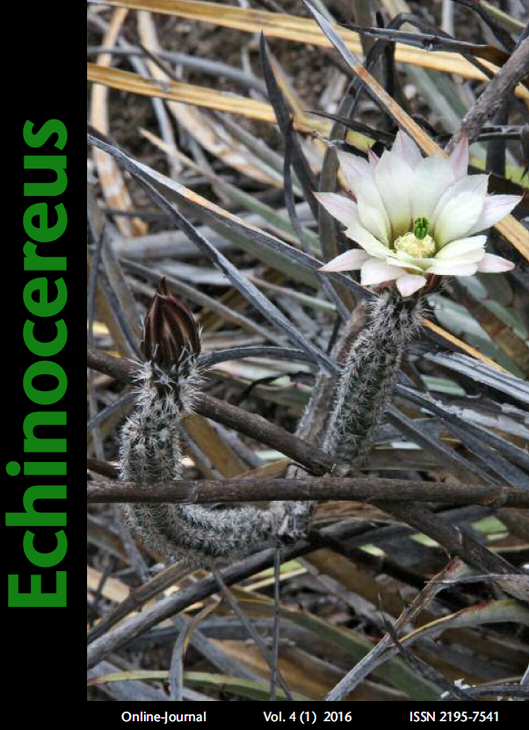 Echinocereus_1-2016.png
