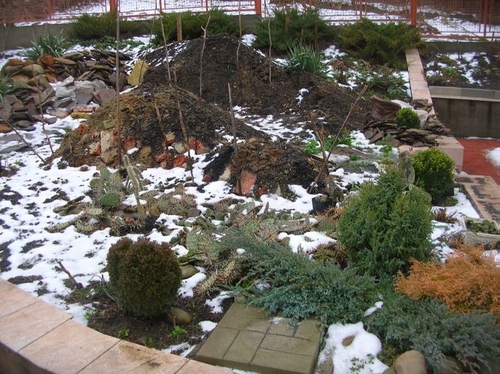 DSCN6118.JPG