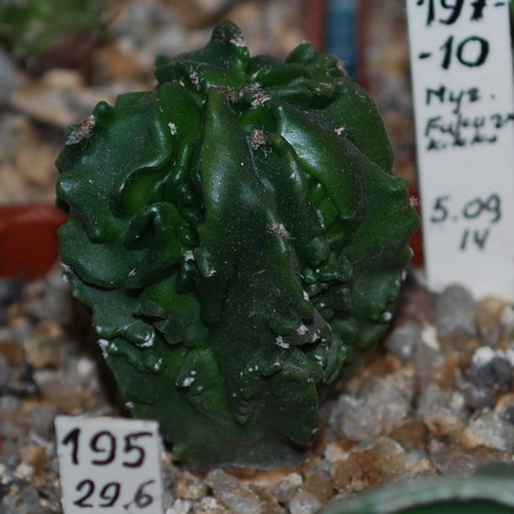 DSC_4644 k.jpg