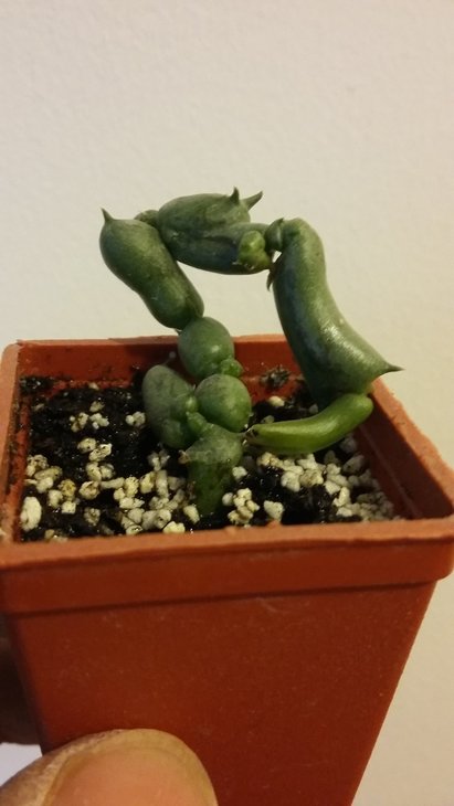 20160116_210155.jpg