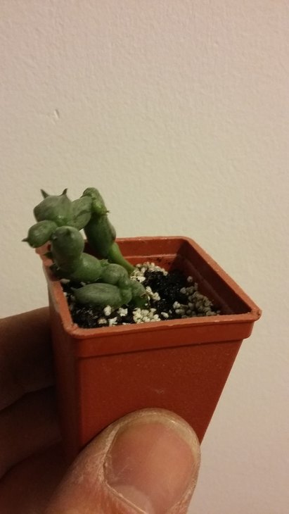 20160116_210219.jpg