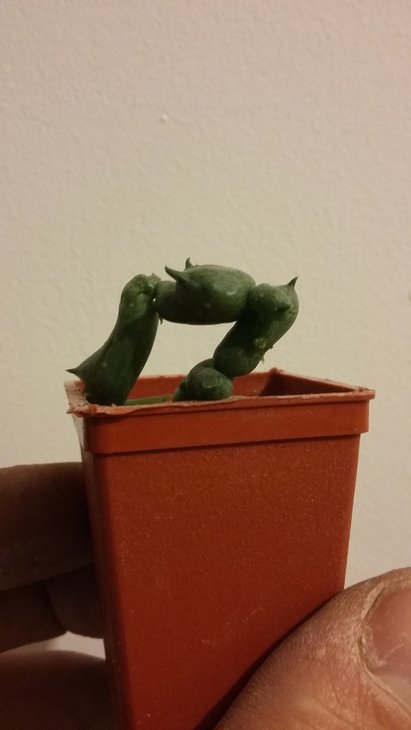 20160116_210231.jpg
