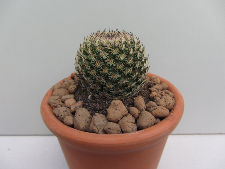 8)