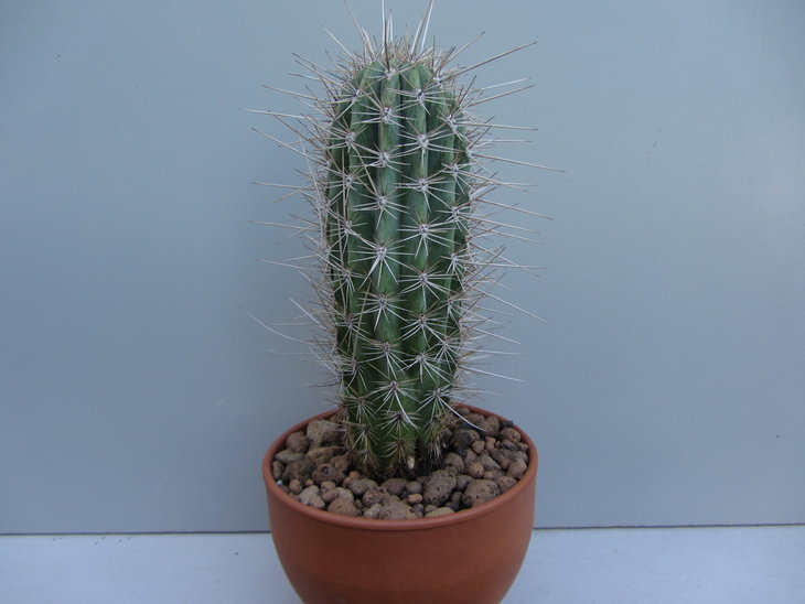 10)