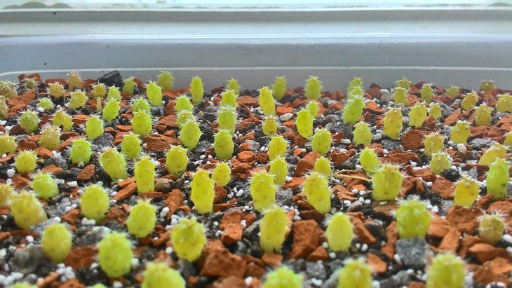 P_20160127_155551_HDR.jpg
